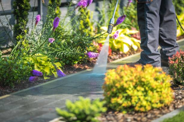 Best Sidewalk and Walkway Pressure Cleaning in Enterprise, WV